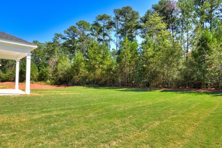 New construction Single-Family house 1037 Speckled Teal Path, Aiken, SC 29803 plan Bondi - image 3