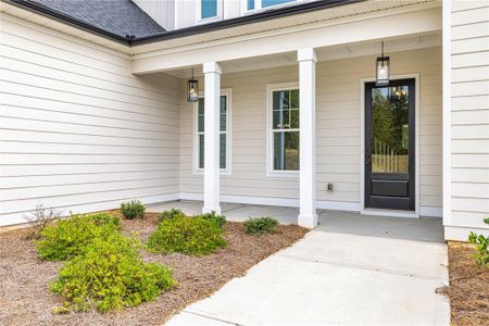 New construction Single-Family house 20 Platinum Rdg, Sharpsburg, GA 30277 plan Autumn Brooke - image 19