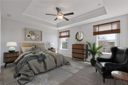 New construction Single-Family house 688 Shoals Trl, Dallas, GA 30132 plan Alexander - image 13