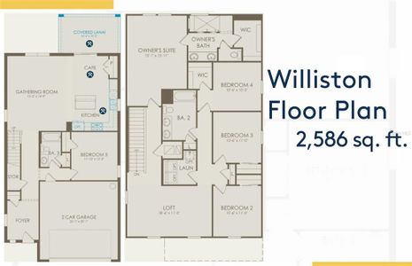 Williston Layout