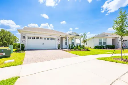 New construction Single-Family house 13780 Fresh Ivy St, Winter Garden, FL 34787 - image