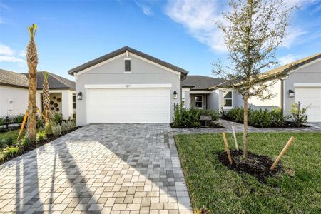 New construction Single-Family house 9205 Optimist Wy, Palmetto, FL 34221 - image