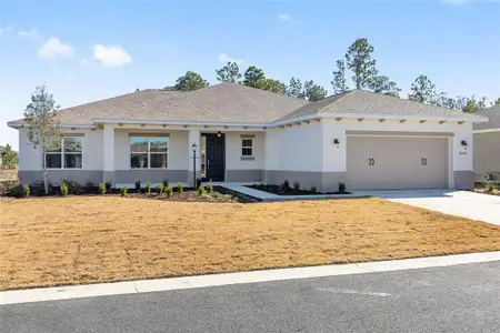 New construction Single-Family house 10020 Sw 106Th Cir, Ocala, FL 34481 - image
