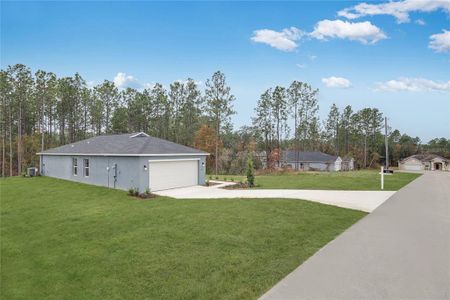 New construction Single-Family house 8930 Sw 128Th Pl, Ocala, FL 34473 plan Dawn - image