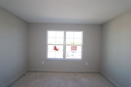 New construction Single-Family house 31236 Denham Ridge Ln, Wesley Chapel, FL 33545 Santa Monica- photo 110 110