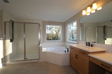 New construction Single-Family house 20125 Oriana Loop, Land O' Lakes, FL 34638 Santina II- photo 133 133