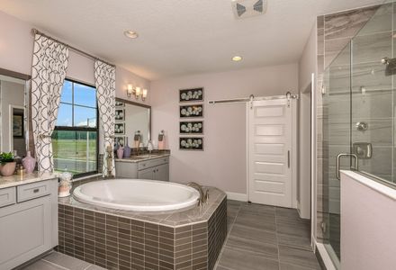 Creek Ridge Preserve by Homes by WestBay in Lithia - photo 51 51