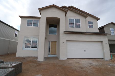 New construction Single-Family house 38338 Tobiano Loop, Dade City, FL 33525 Mira Lago- photo 85 85