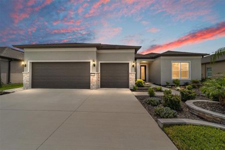 New construction Single-Family house 6131 Sw 86Th Cir, Ocala, FL 34476 - image