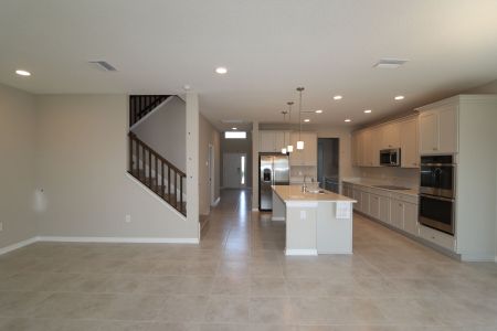 New construction Single-Family house 38338 Tobiano Loop, Dade City, FL 33525 Mira Lago- photo 142 142