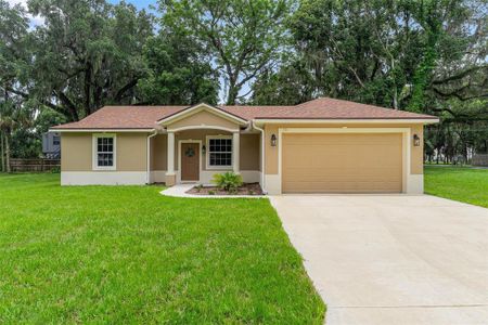 New construction Single-Family house 501 Mulberry Street, Fruitland Park, FL 34731 - photo 0