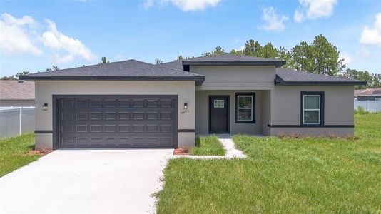 New construction Single-Family house 15690 Sw 49Th Avenue Rd, Ocala, FL 34473 - image