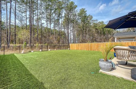 New construction Single-Family house 215 Camellia Bloom Dr, Moncks Corner, SC 29461 Blue Heron- photo 35 35