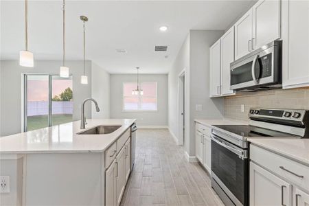 New construction Single-Family house 17 El Dorado Blvd N, Cape Coral, FL 33993 - image 9