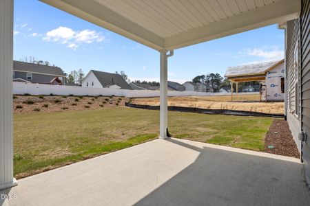 New construction Single-Family house 55 Malbec Wy, Youngsville, NC 27596 - image 3