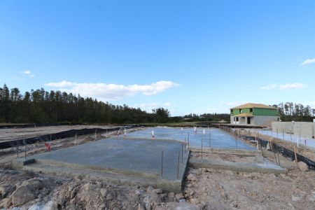 New construction Single-Family house 30988 Pendleton Landing Cir, Wesley Chapel, FL 33545 Cypress- photo 6 6