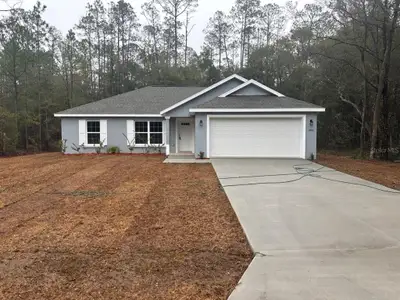 New construction Single-Family house 10051 N Gardner Wy, Citrus Springs, FL 34434 - image