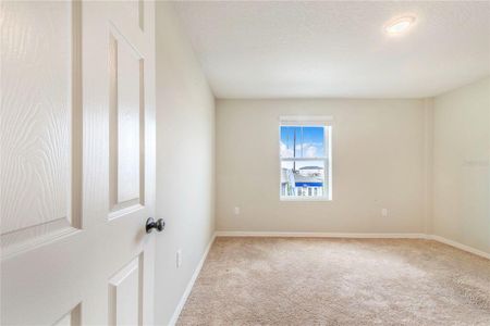 New construction Single-Family house 870 Sand Sea Pl, Haines City, FL 33844 plan Catalina - image 13