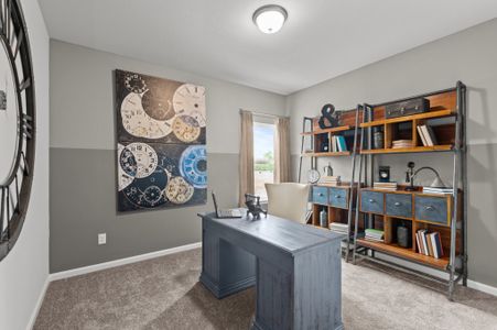 Trails at Woodhaven Lakes 45's 6