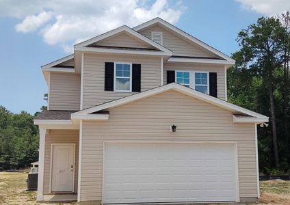 Emanuel Creek by Hurricane Builders in West Columbia - image 11