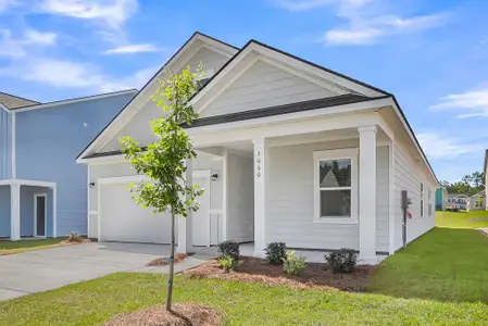 New construction Single-Family house 2091 Lavender Bloom Rd, Ravenel, SC 29470 plan Hartwell - image