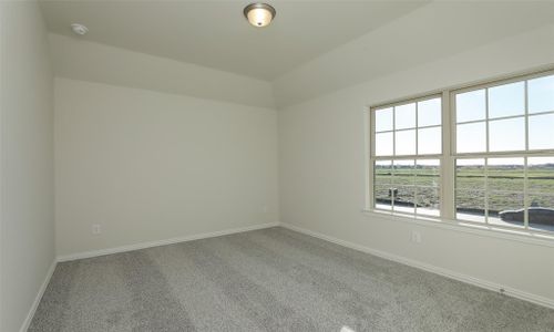 New construction Single-Family house 250 Cross Gable Ln, Dayton, TX 77535 plan Rosewood - image 16