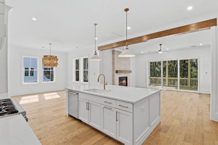 New construction Single-Family house 1726 Vireo Ct, Johns Island, SC 29455 - image 9