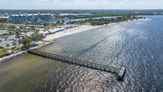 New construction Single-Family house 2630 Yellow Sundial Loop, Ruskin, FL 33570 null- photo 60 60