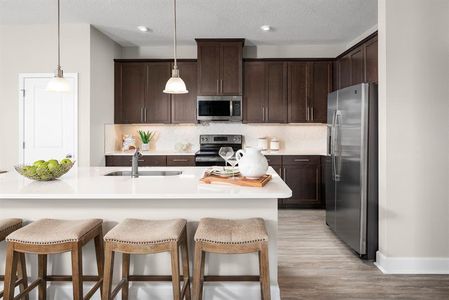 New construction Single-Family house 6712 Cedar Landing Cir, Leesburg, FL 34748 plan Biscayne - image