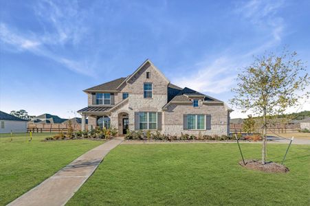 New construction Single-Family house 16532 Gaines Glen Ln, Montgomery, TX 77316 plan Medina - 50' Premier Smart Series - image