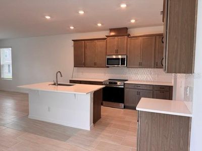 New construction Single-Family house 392 Oak Flat Aly, Groveland, FL 34736 plan Vista - image