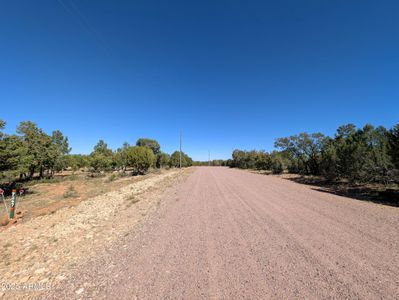 New construction Single-Family house 7267 Red Feather Ct, Happy Jack, AZ 86024 - image 17