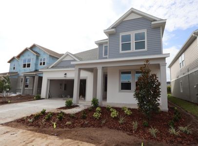 New construction Single-Family house 5117 Sea Branch Ave, Apollo Beach, FL 33572 plan The Edie - image