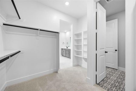 New construction Single-Family house 2912 Golden Dust Dr, Katy, TX 77493 plan Florence - image 7