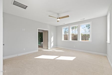New construction Single-Family house 45 W Victoria Ridge Dr, Unit 32, Selma, NC 27576 plan The Hampton - image 19