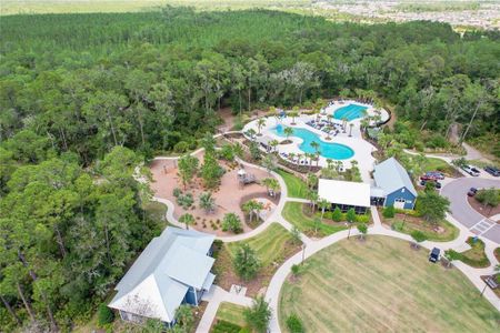 New construction Single-Family house 3901 Tour Trace, Land O' Lakes, FL 34638 - photo 31 31