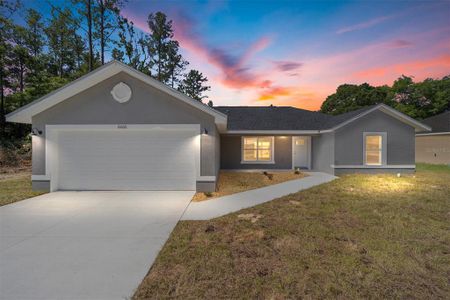 New construction Single-Family house 5434 Nw 55Th Avenue, Ocala, FL 34482 - photo 0