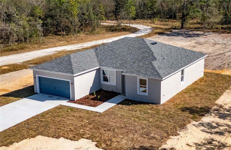 New construction Single-Family house 10071 Se Se, Dunnellon, FL 34431 - image