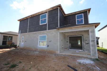 New construction Single-Family house 12294 Hilltop Farms Dr, Dade City, FL 33525 Malibu- photo 73 73