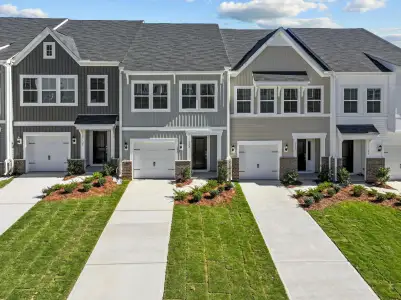 New construction Single-Family house 129 Elyse Overlook Lp, Sanford, NC 27332 plan Foxglove - image
