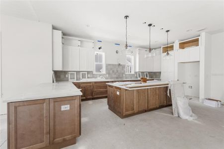 New construction Single-Family house 1096 Riverway Dr, Oakland, FL 34787 null- photo 6 6