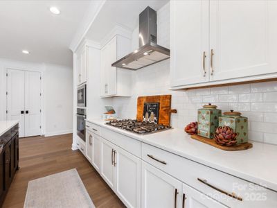 New construction Single-Family house 13618 Tranquil Day Dr, Matthews, NC 28105 plan Crossbill - image 6