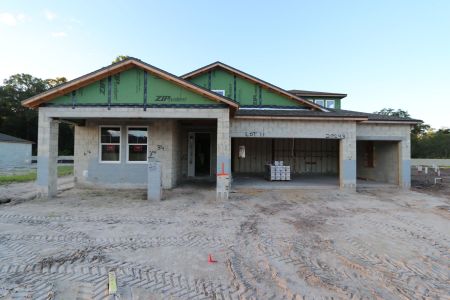 New construction Single-Family house 20243 Oriana Loop, Land O' Lakes, FL 34638 Corina  III Bonus- photo 45 45