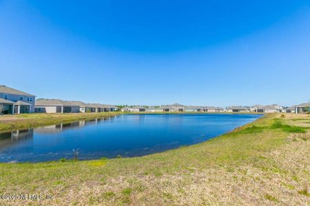 New construction Single-Family house 9919 Lovage Ln, Jacksonville, FL 32219 Brio- photo 49 49