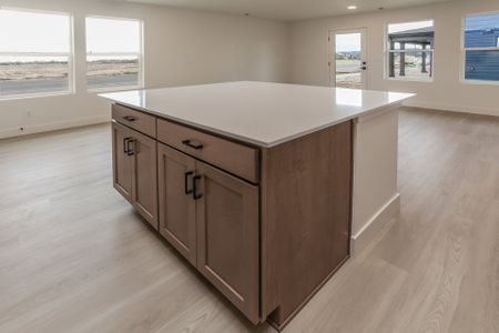 New construction Single-Family house 913 Trumpet Ln, Windsor, CO 80550 plan Sage - image 14
