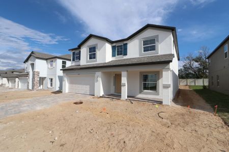 New construction Single-Family house 12168 Hilltop Farms Dr, Dade City, FL 33525 Malibu- photo 91 91