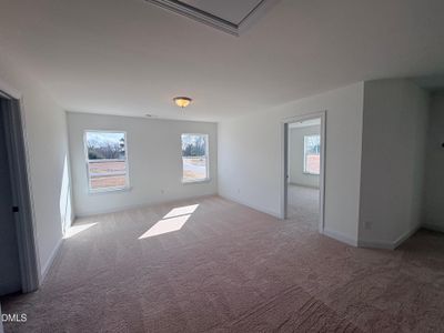 New construction Single-Family house 102 Bittersweet Trl, Benson, NC 27504 plan Wilmington - image 14