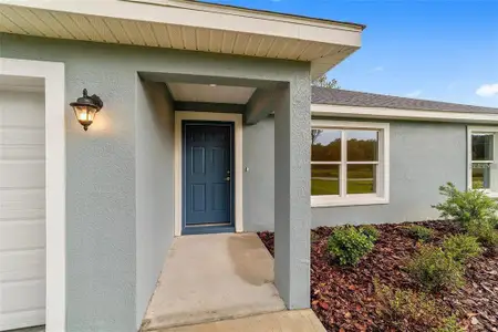 New construction Single-Family house 7729 Sw 146 Ln, Ocala, FL 34473 - image