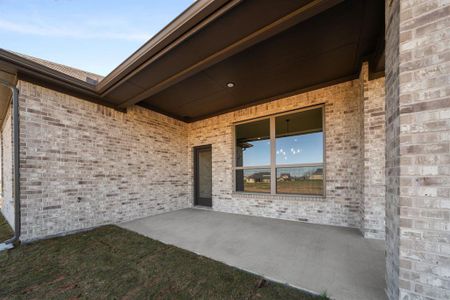 New construction Single-Family house 441 Paradise Ridge Dr, Waxahachie, TX 75167 - image 4