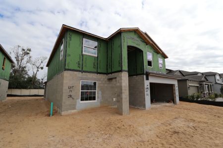 New construction Single-Family house 12134 Hilltop Farms Dr, Dade City, FL 33525 Malibu- photo 69 69